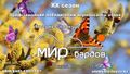 Миниатюра для версии от 18:10, 17 сентября 2025